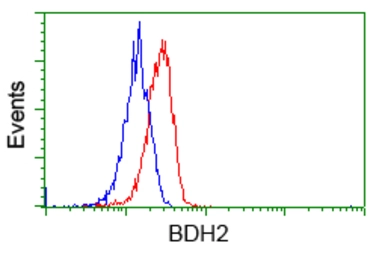 Anti-BDH2 antibody [4G4] used in Flow cytometry (FCM). GTX84833