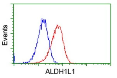 Anti-ALDH1L1 antibody [6A10] used in Flow cytometry (FCM). GTX84891