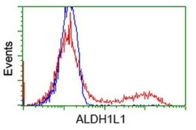 Anti-ALDH1L1 antibody [6A10] used in Flow cytometry (FCM). GTX84891
