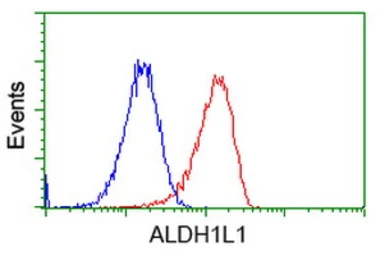 Anti-ALDH1L1 antibody [5G8] used in Flow cytometry (FCM). GTX84892