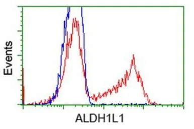 Anti-ALDH1L1 antibody [7B7] used in Flow cytometry (FCM). GTX84895