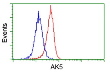 Anti-AK5 antibody [2F9] used in Flow cytometry (FCM). GTX84921