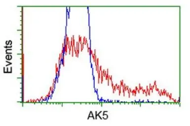 Anti-AK5 antibody [2F9] used in Flow cytometry (FCM). GTX84921