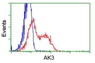 Anti-AK3 antibody [4C4] used in Flow cytometry (FCM). GTX84933