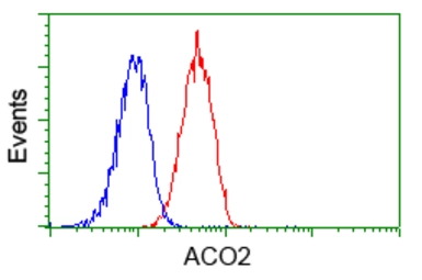 Anti-Aconitase 2 antibody [7A11] used in Flow cytometry (FCM). GTX84966
