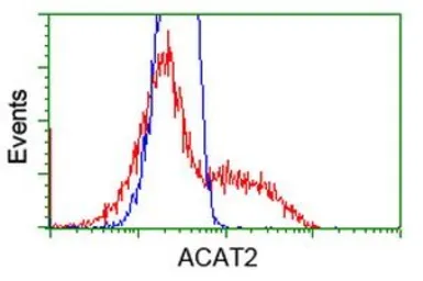 Anti-ACAT2 antibody [1B7] used in Flow cytometry (FCM). GTX84968