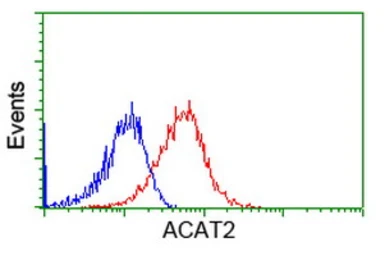 Anti-ACAT2 antibody [1C5] used in Flow cytometry (FCM). GTX84977