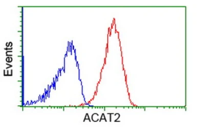 Anti-ACAT2 antibody [1C5] used in Flow cytometry (FCM). GTX84977