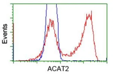 Anti-ACAT2 antibody [1C5] used in Flow cytometry (FCM). GTX84977