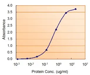 Anti-COMT antibody, Internal used in ELISA (ELISA). GTX89277