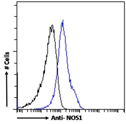 Anti-nNOS antibody, C-term used in Flow cytometry (FCM). GTX89962