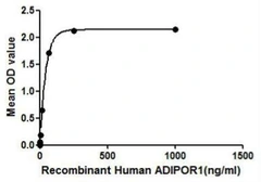 Human Adiponectin Receptor 1 protein, His and GST tag. GTX00105-pro