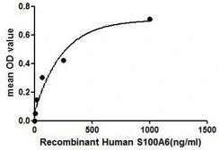 Human S100A6 protein, His tag. GTX00135-pro