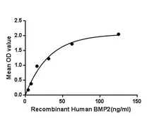 Human BMP2 protein, His tag. GTX00203-pro