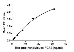 Mouse FGF2 protein, His tag. GTX00310-pro