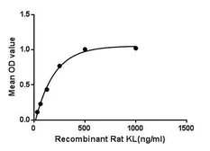Rat Klotho protein, His tag. GTX00378-pro