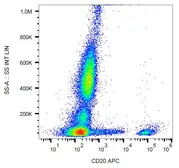 Anti-CD20 antibody [2H7] (APC) used in Flow cytometry (FCM). GTX00466-07