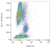 Anti-CD84 antibody [CD84.1.21] (FITC) used in Flow cytometry (FCM). GTX00476-06