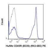 Anti-CD45R antibody [RA3-6B2] (PE) used in Flow cytometry (FCM). GTX00486-08