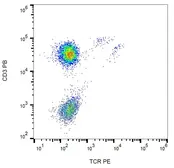 Anti-TCR gamma + delta antibody [B1] (PE) used in Flow cytometry (FCM). GTX00507-08