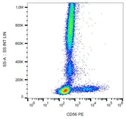 Anti-NCAM antibody [LT56] (PE) used in Flow cytometry (FCM). GTX00513-08