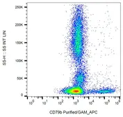 Anti-CD79b antibody [CB3-1] used in Flow cytometry (FCM). GTX00527