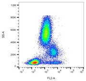 Anti-CD39 antibody [TU66] (PE) used in Flow cytometry (FCM). GTX00533-08