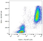 Anti-Lactoferrin antibody [LF5-1D2] used in Flow cytometry (FCM). GTX00544