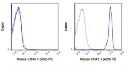 Anti-CD45.1 antibody [A20] (PE) used in Flow cytometry (FCM). GTX01463-08