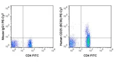 Anti-IL2 Receptor alpha antibody [BC96] (PE-Cy7) used in Flow cytometry (FCM). GTX01471-10