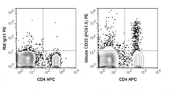 Anti-IL2 Receptor alpha antibody [PC61.5] (PE) used in Flow cytometry (FCM). GTX01472-08