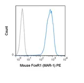 Anti-Fc epsilon R1 alpha antibody [MAR-1] (PE) used in Flow cytometry (FCM). GTX01480-08