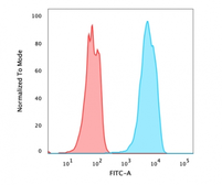 Anti-FOXA1 antibody [FOXA1/2230R] used in Flow cytometry (FCM). GTX02640