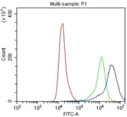 Anti-Interferon gamma Receptor 1 antibody used in Flow cytometry (FCM). GTX02780