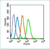 Anti-Mannose Receptor antibody used in Flow cytometry (FCM). GTX03378