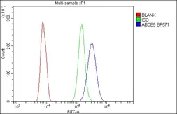 Anti-ABCB5 antibody used in Flow cytometry (FCM). GTX03718