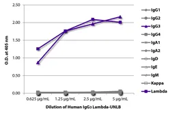 Human IgG3 isotype control. GTX03789