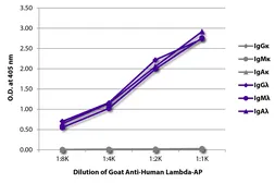 Goat Anti-Human lambda light chain antibody, pre-adsorbed (AP). GTX04133-03