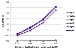 Goat Anti-Human lambda light chain antibody, F(ab')2 fragment, pre-adsorbed (HRP). GTX04135-01