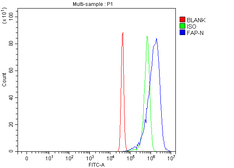 Anti-FAP antibody used in Flow cytometry (FCM). GTX04307