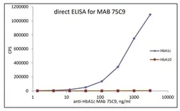 Anti-Glycated Hemoglobin A1c (HbA1c) antibody [75C9] used in ELISA (ELISA). GTX04309