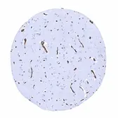 Anti-GluT1 antibody [MSVA-401R] HistoMAX&trade; used in IHC (Paraffin sections) (IHC-P). GTX04469