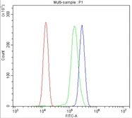Anti-Gasdermin D antibody used in Flow cytometry (FCM). GTX04537