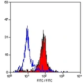 Anti-CD31 antibody [CO.3E1D4] used in Flow cytometry (FCM). GTX04540