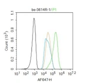 Anti-PPAR alpha antibody used in Flow cytometry (FCM). GTX05116