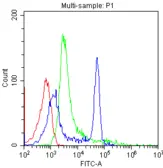 Anti-CD4 antibody [CA-4] used in Flow cytometry (FCM). GTX10882