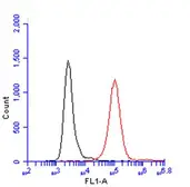 Anti-CD45 antibody used in Flow cytometry (FCM). GTX116018