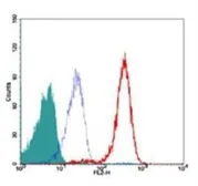 Anti-TRF2 antibody [4A794.15] used in Flow cytometry (FCM). GTX13579
