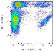 Anti-CD41 antibody [HIP8] used in Flow cytometry (FCM). GTX15021