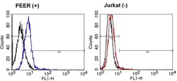 Anti-TCR gamma + delta antibody [5A6.E91] (FITC) used in Flow cytometry (FCM). GTX15596